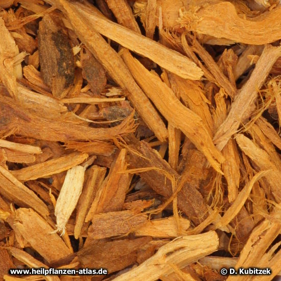 Ratanhia